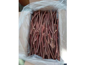 甘草根2
