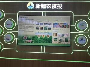 参展简介
